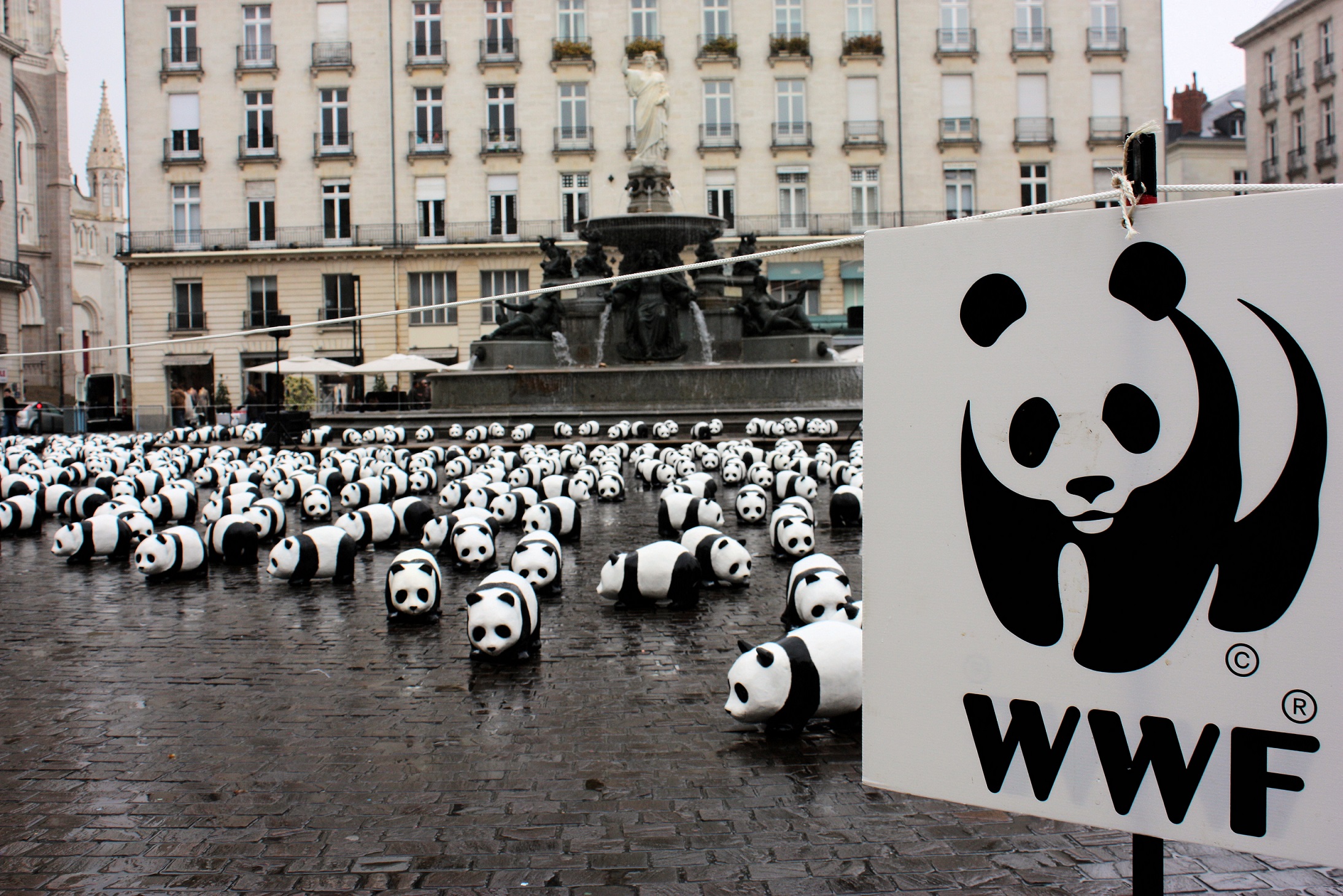 Всемирный фонд дикой природы WWF России