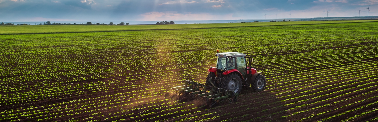 Tractor cultivating field