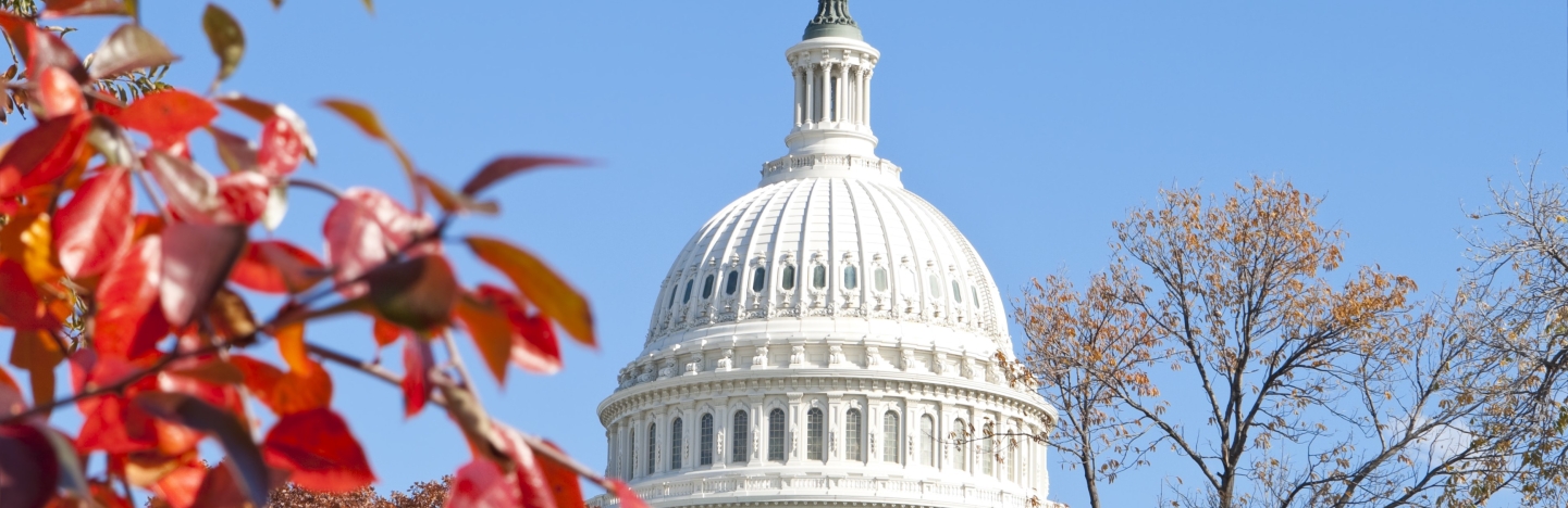 Trees frame the capitol building