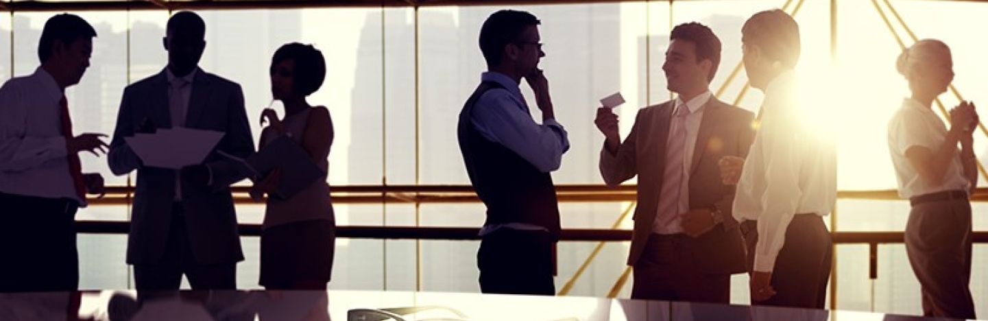 A group of business professionals gather in front of a sunlit window