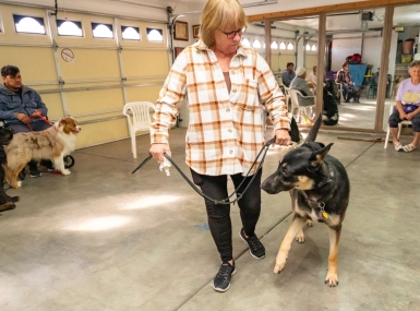 A woman trains a dog in a program funded by Nye County, Nev. Photo by John Clausen for the Pahrump Valley Times