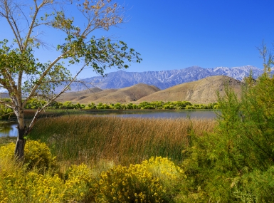 Diaz Lake near Lone Pine, California