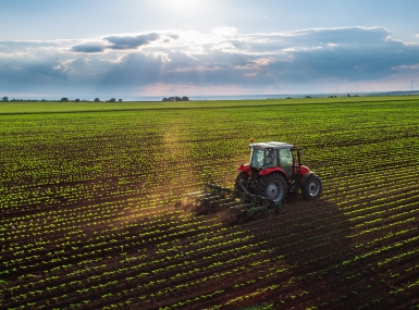 Tractor cultivating field