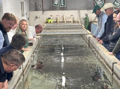 Western Interstate Region Board of Directors Meeting attendees examine a tank of fish while touring the Colville Fish Hatchery in Stevens County, Wash. Photo by Zeke Lee