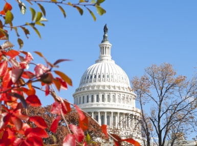 Trees frame the capitol building