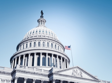 Image of Capitol-closeup-4.jpg