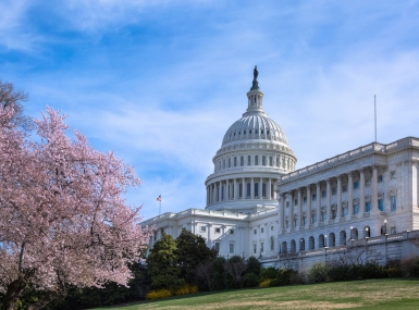 Image of Capitol-spring.jpg