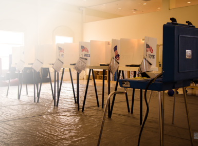 Image of Voting Booth3.png