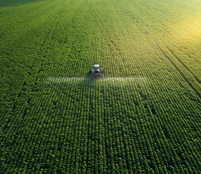 Cropfields