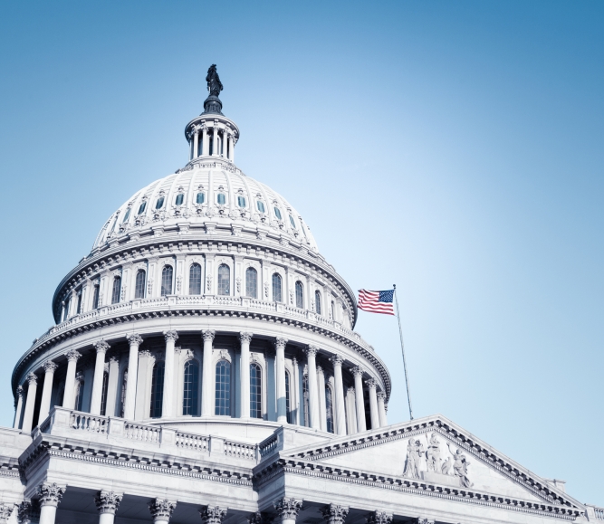 Image of Capitol-closeup-4.jpg