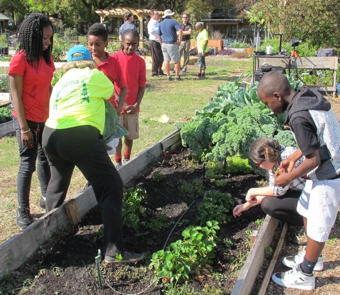 Image of Tampa Heights Community Garden (86).jpg