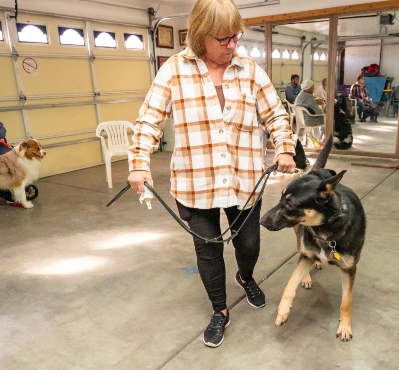 A woman trains a dog in a program funded by Nye County, Nev. Photo by John Clausen for the Pahrump Valley Times