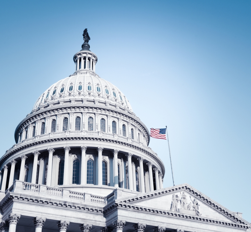 Image of Capitol-closeup-4.jpg