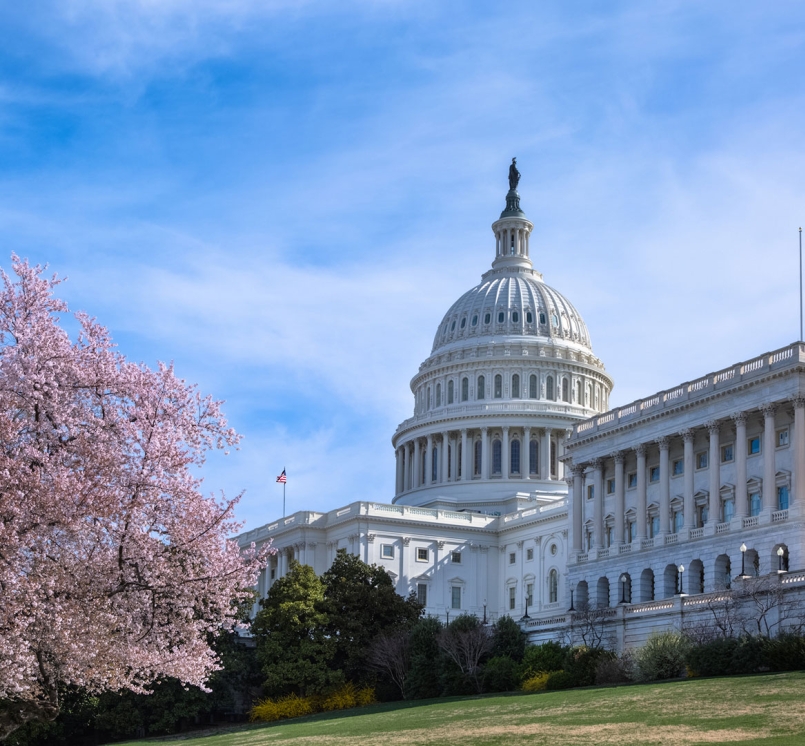 Image of Capitol-spring.jpg