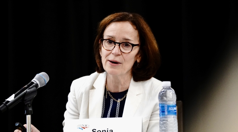 SAMHSA is prioritizing peer-centered recovery, among other ways to combat youth substance use disorder, Sonia Chessen, SAMHSA’s deputy assistant secretary, said Friday, July 12 at the NACo Health Steering Committee meeting. Photo by Leon Lawrence III