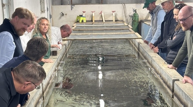 Western Interstate Region Board of Directors Meeting attendees examine a tank of fish while touring the Colville Fish Hatchery in Stevens County, Wash. Photo by Zeke Lee