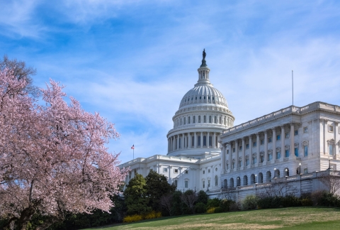 GettyImages-473616108.jpg Image of GettyImages-473616108.jpg